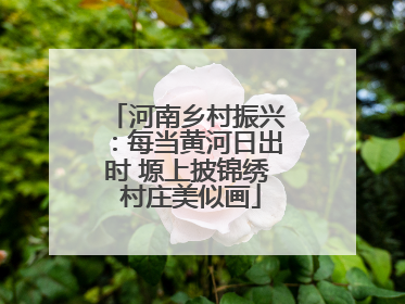 河南乡村振兴：每当黄河日出时 塬上披锦绣 村庄美似画
