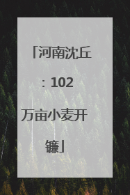 河南沈丘：102 万亩小麦开镰