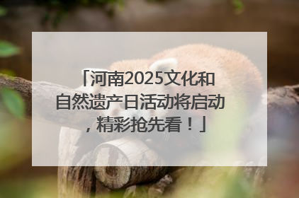 河南2025文化和自然遗产日活动将启动，精彩抢先看！