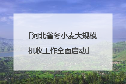 河北省冬小麦大规模机收工作全面启动