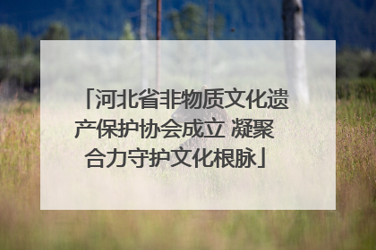 河北省非物质文化遗产保护协会成立 凝聚合力守护文化根脉
