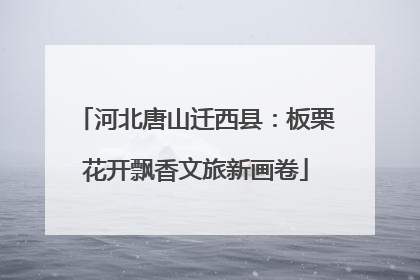 河北唐山迁西县：板栗花开飘香文旅新画卷