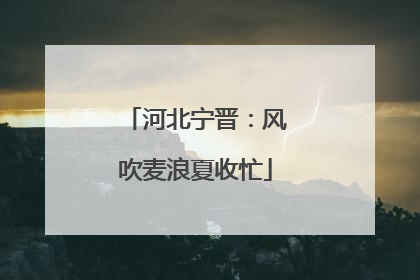 河北宁晋：风吹麦浪夏收忙