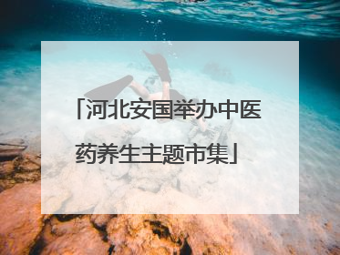 河北安国举办中医药养生主题市集