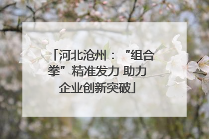 河北沧州：“组合拳”精准发力 助力企业创新突破