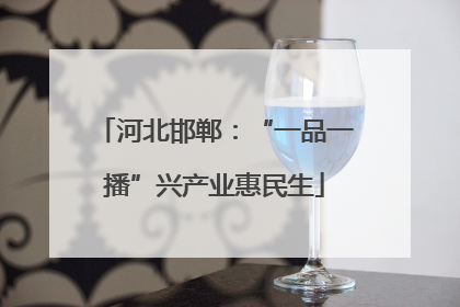 河北邯郸：“一品一播”兴产业惠民生