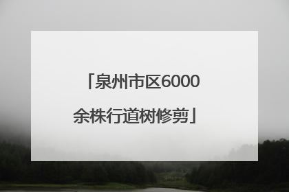 泉州市区6000余株行道树修剪