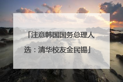 注意韩国国务总理人选：清华校友金民锡