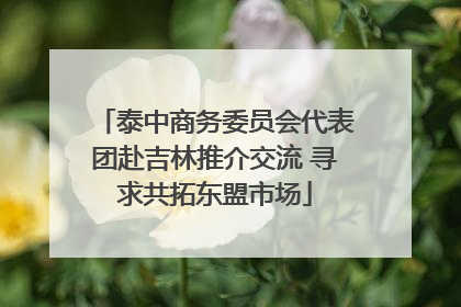 泰中商务委员会代表团赴吉林推介交流 寻求共拓东盟市场