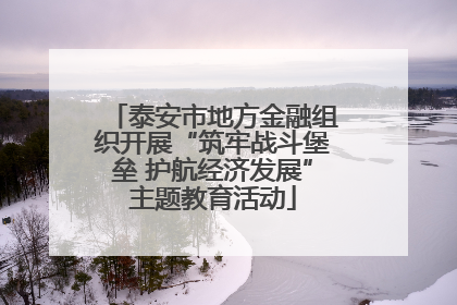 泰安市地方金融组织开展“筑牢战斗堡垒 护航经济发展”主题教育活动