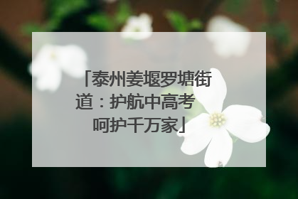 泰州姜堰罗塘街道：护航中高考 呵护千万家