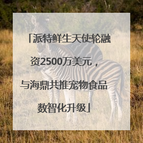 派特鲜生天使轮融资2500万美元，与海鼎共推宠物食品数智化升级