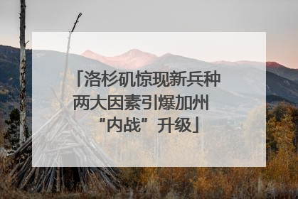 洛杉矶惊现新兵种 两大因素引爆加州“内战”升级