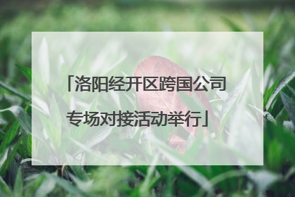 洛阳经开区跨国公司专场对接活动举行