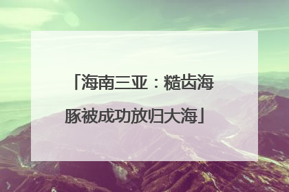海南三亚：糙齿海豚被成功放归大海