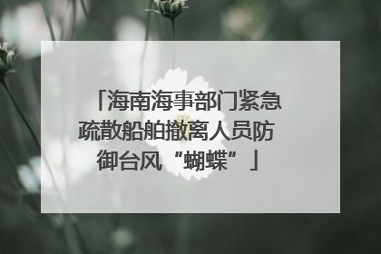 海南海事部门紧急疏散船舶撤离人员防御台风“蝴蝶”