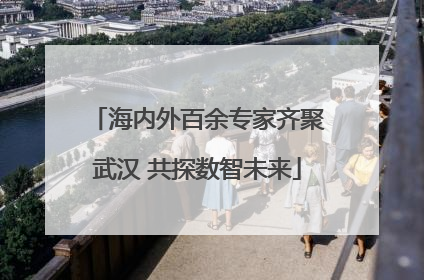 海内外百余专家齐聚武汉 共探数智未来