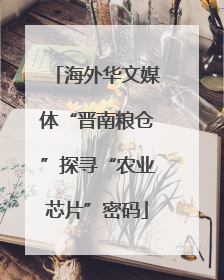 海外华文媒体“晋南粮仓”探寻“农业芯片”密码