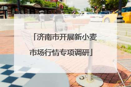济南市开展新小麦市场行情专项调研