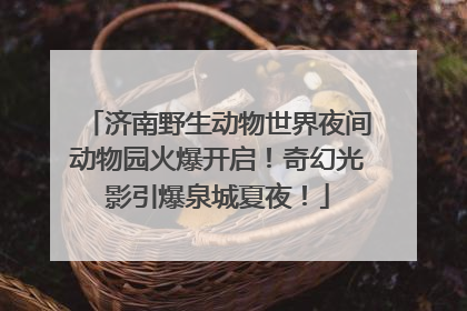 济南野生动物世界夜间动物园火爆开启！奇幻光影引爆泉城夏夜！