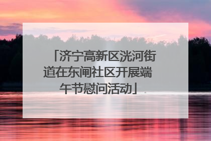 济宁高新区洸河街道在东闸社区开展端午节慰问活动