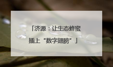 济源：让生态蜂蜜插上“数字翅膀”