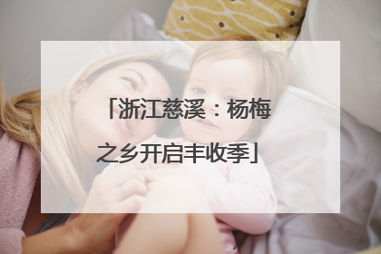 浙江慈溪：杨梅之乡开启丰收季