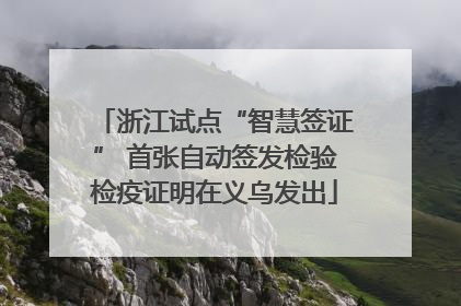 浙江试点“智慧签证” 首张自动签发检验检疫证明在义乌发出