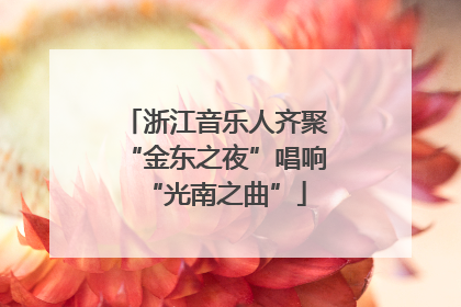 浙江音乐人齐聚“金东之夜”唱响“光南之曲”