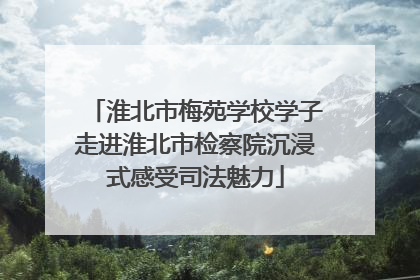 淮北市梅苑学校学子走进淮北市检察院沉浸式感受司法魅力