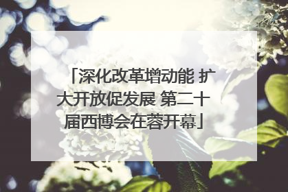 深化改革增动能 扩大开放促发展 第二十届西博会在蓉开幕