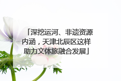 深挖运河、非遗资源内涵，天津北辰区这样助力文体旅融合发展