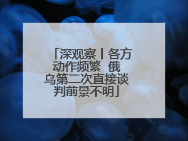 深观察丨各方动作频繁  俄乌第二次直接谈判前景不明