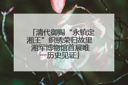 清代御赐“永镇定湘王”织绣荣归故里 湘军博物馆首展唯一历史见证