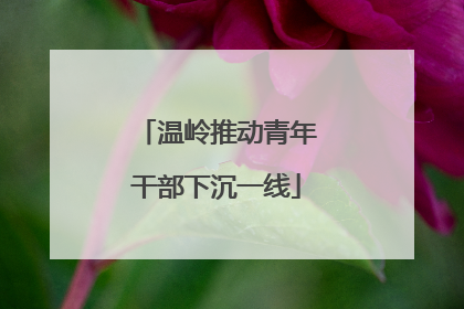 温岭推动青年干部下沉一线