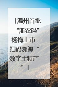 温州首批“浙农码”杨梅上市 扫码溯源“数字土特产”