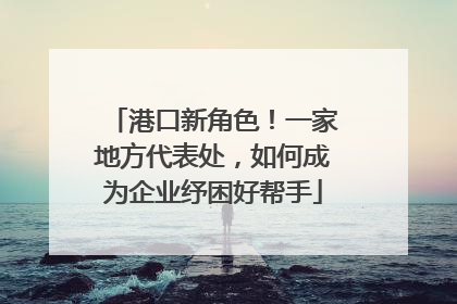 港口新角色！一家地方代表处，如何成为企业纾困好帮手