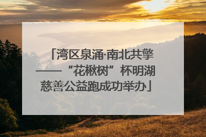 湾区泉涌·南北共擎——“花楸树”杯明湖慈善公益跑成功举办