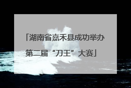 湖南省嘉禾县成功举办第二届“刀王”大赛
