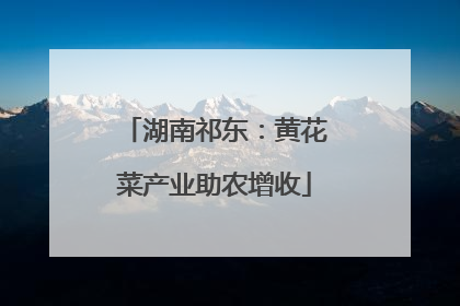 湖南祁东：黄花菜产业助农增收