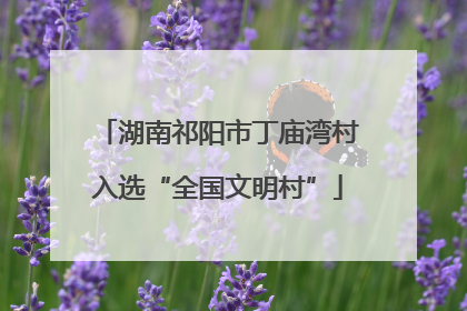 湖南祁阳市丁庙湾村入选“全国文明村”