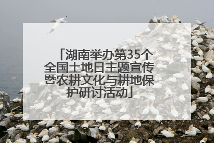 湖南举办第35个全国土地日主题宣传暨农耕文化与耕地保护研讨活动