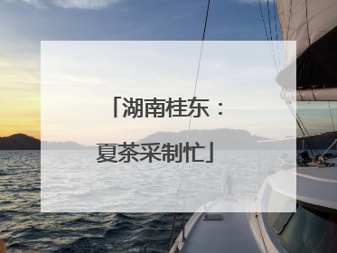 湖南桂东：夏茶采制忙