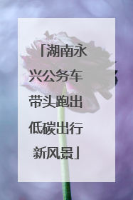 湖南永兴公务车带头跑出低碳出行新风景