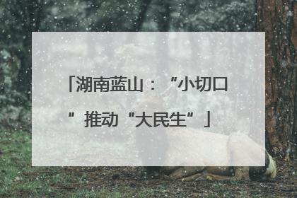 湖南蓝山：“小切口”推动“大民生”
