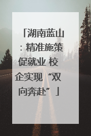 湖南蓝山：精准施策促就业 校企实现“双向奔赴”