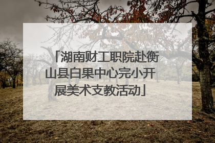 湖南财工职院赴衡山县白果中心完小开展美术支教活动