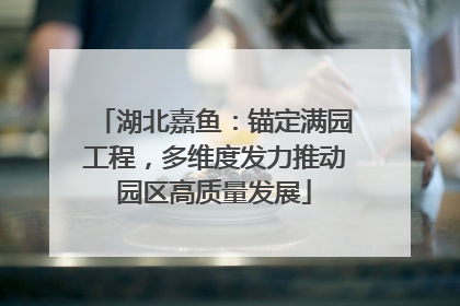 湖北嘉鱼：锚定满园工程，多维度发力推动园区高质量发展