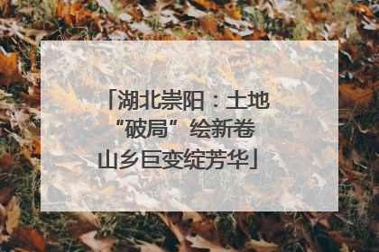 湖北崇阳：土地“破局”绘新卷 山乡巨变绽芳华