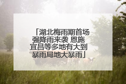 湖北梅雨期首场强降雨来袭 恩施宜昌等多地有大到暴雨局地大暴雨